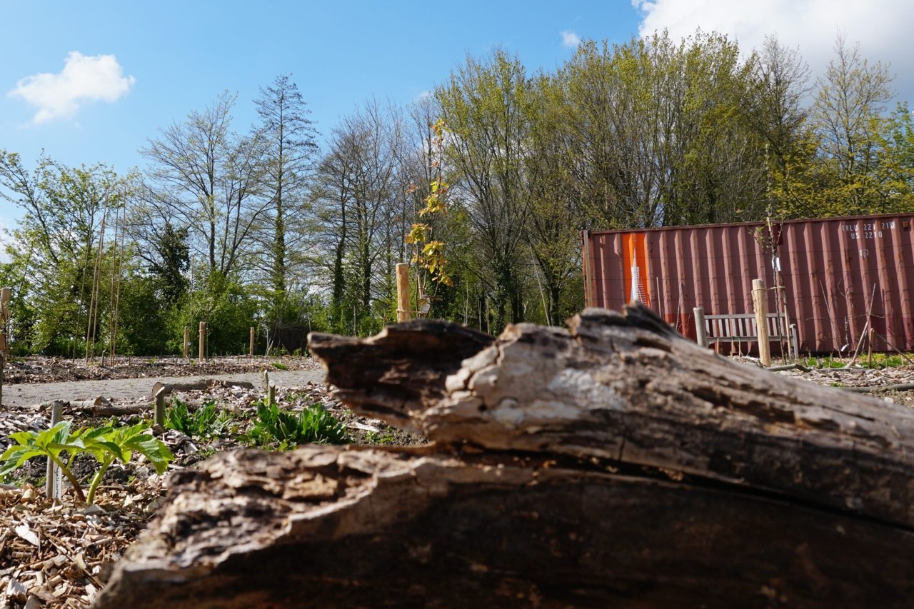 Voedselbos op de Bunder